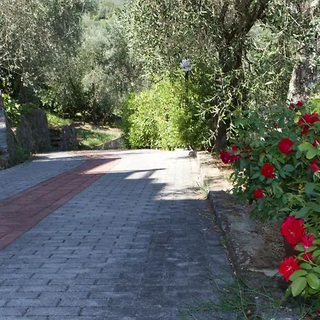 Apartment Charme And Comfort Near Cinque Terre