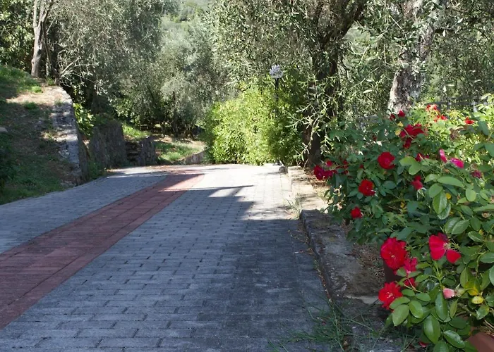 Apartment Charme And Comfort Near Cinque Terre By Wonderful Italy